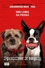 Poster for Spuszczone ze smyczy