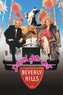 Poster for Włóczęga z Beverly Hills