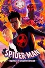 Poster for Spider-Man: Poprzez multiwersum