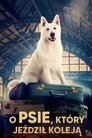 Poster for O psie, który jeździł koleją