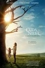 Poster for Cuda z nieba
