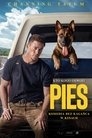 Poster for Pies