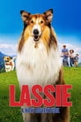 Poster for Lassie. Nowe przygody