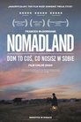 Poster for Nomadland