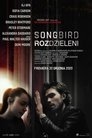 Poster for Songbird. Rozdzieleni